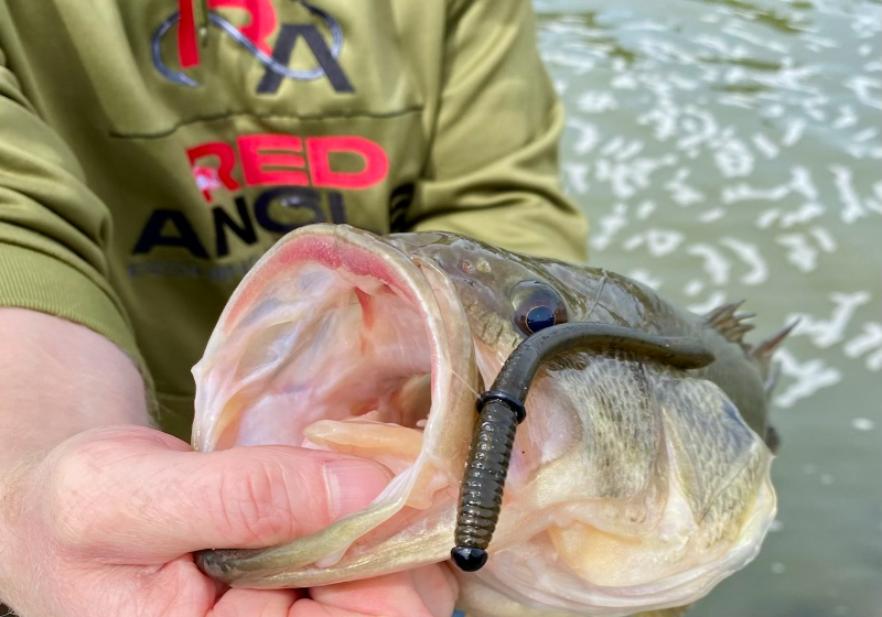 Summer Finesse Fishing Techniques to Catch More Bass
